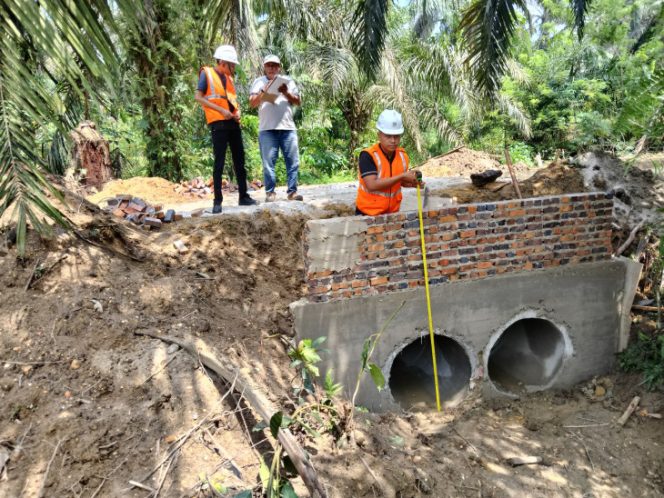 
					Jalan Produksi Perkebunan, Kontribusi Daerah Perkuat Ekonomi Nasional