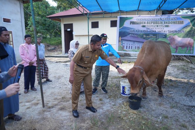 
					Bupati Kampar Serahkan Bantuan Qurban Sapi Presiden RI untuk Idul Adha 1447 H Di Masjid Al-Furqon Desa Bukit Melintang