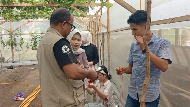 
					Politeknik Kampar Implementasikan Teknologi IoT untuk Mendukung Budidaya Anggur Petani di Kampar